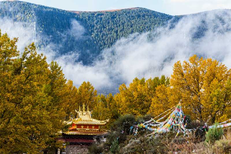 丹巴甲居藏寨，云上藏寨，人间秘境，这才是甘孜更该去的地方！-第2张图片-甘孜旅游